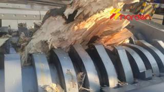 Wood Shredder  Biomass Shredder [upl. by Hullda]