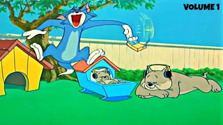 Tom and Jerry 2019  Top Tom Scream Compilation [upl. by Anirt]