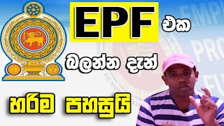 How to Check EPF Blance Online Sinhala 2020 EPF එක බලන්න දැන් හරිම ලෙසී [upl. by Madge]