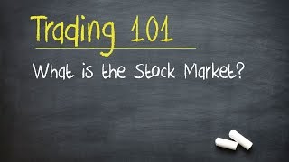 Trading 101 What is the Stock Market [upl. by Aicirtak]