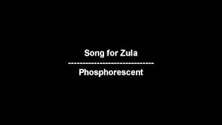 Song for Zula  Phosphorescent  lyrics [upl. by Tybalt344]