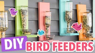 DIY Bird Feeders [upl. by Llehcal]