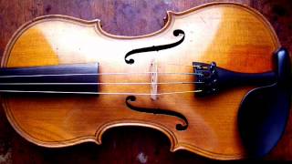 History of the Violin [upl. by Nylla983]