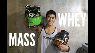 WHEY PROTEIN or MASS GAINER Tips for Beginner [upl. by Akcirehs803]