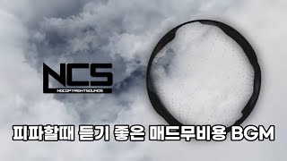 롤 피파 게임 할 때 듣기 좋은 NCS 브금 1시간 모음 전투력 폭발 [upl. by Tyler415]