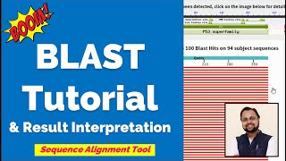 What is BLAST  Tutorial amp Interpretation [upl. by Cerracchio]