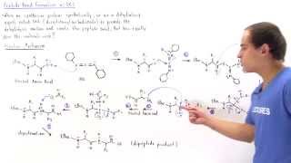 Peptide Bond Formation with DCC [upl. by Enhpad]