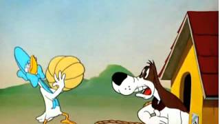 WB Foghorn Leghorn quotLovelorn Leghornquot Casaba Dance [upl. by Leuas]