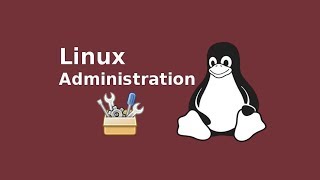 How to Add a Program to Your Path Environment Variable in Linux [upl. by Madge]