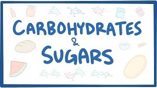 Carbohydrates amp sugars  biochemistry [upl. by Alyakcm]