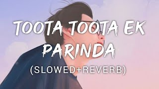 Toota Toota Ek Parinda  Kailash kher  Music Lyrics [upl. by Mayman]