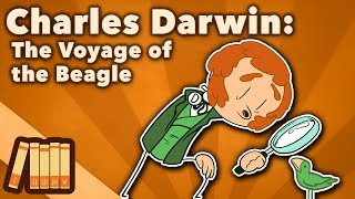 Charles Darwin  The Voyage of the Beagle  Extra History [upl. by Gnilrets]