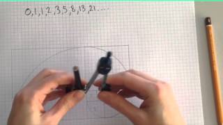 Fibonacci Tutorial [upl. by Htor582]