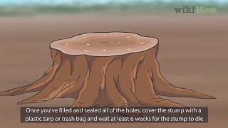 How to Kill a Tree Stump [upl. by Nottarts]