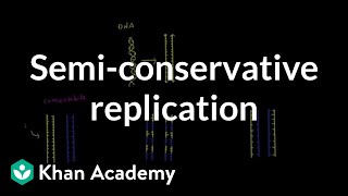 Semi conservative replication  Biomolecules  MCAT  Khan Academy [upl. by Corie]