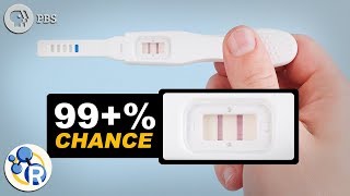 Home pregnancy tests [upl. by Marchal835]