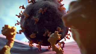 A Virus Attacks a Cell [upl. by Atima]