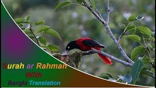 Surah ar Rahman full  মন জুড়ানো সুরে সূরা আর রহমান আরবিবাংলা [upl. by Ennaylil]