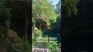 Incredible Cenote in Valladolid Mexico Cenote Zaci shorts [upl. by Malynda]