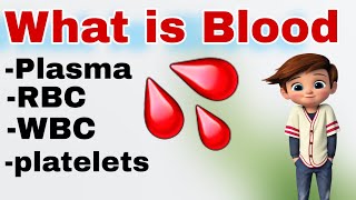 What is Blood Plasma WBC RBC amp Platelets  Functions of Blood [upl. by Amand]