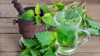 Nettle Tea Benefits and Warnings [upl. by Waylen]