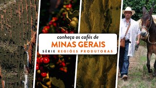 CAFÉS DE MINAS GERAIS  Série Regiões Produtoras 001 [upl. by Ileek]