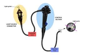 Endoscope Technology TheoryLesson 3Endoscope Parts [upl. by Markiv]