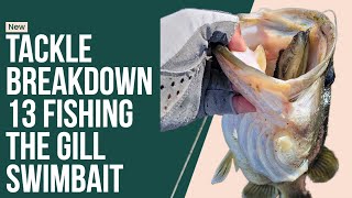 13 Fishing  Coalition Bait Co The Gill Swimbait for Super Calm and Clear Water [upl. by Nihcas280]