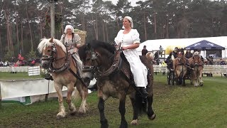 Titanen der Rennbahn Einmarsch Brück 2362018 [upl. by Eirrab]