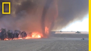 WATCH Fire Tornado Captured in Rare Video  National Geographic [upl. by Aldredge]