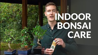 Indoor Bonsai care [upl. by Roselane]