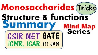 Monosaccharides structure and function biochemistry lecture [upl. by Fraya795]