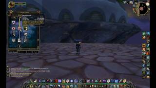 Beast Mastery Hunter DPS Build  World of Warcraft Hunter [upl. by Ramsa579]