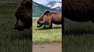 Joe Rogans First Grizzly Bear Encounter [upl. by Wildermuth]