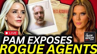 BOMBSHELL New Epstein Info May IMPLICATE US Intel in Criminal Black Ops [upl. by Dlaniger]