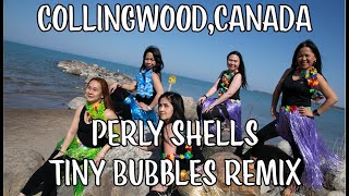 Pearly Shells  Tiny BubbleREMIX [upl. by Gilleod]