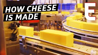 How Cheddar Cheese Is Made In a Factory — The Process [upl. by Ettevahs]