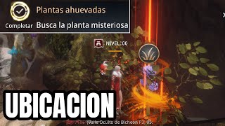 BUSCA LA PLANTA MISTERIOSA  UBICACION  PETICION  MIR4 NFT [upl. by Whorton]