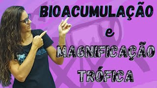 Ecologia  Bioacumulação e Magnificação trófica [upl. by Cordi]