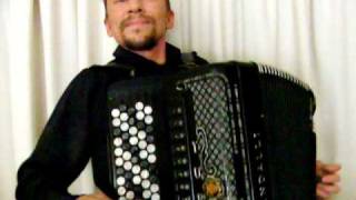 Best Waltzes of STRAUSS  accordion amp band [upl. by Eidnalem]