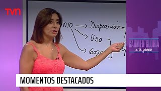 ¿En qué consiste un usufructo  Carmen Gloria a tu servicio [upl. by Jorie]