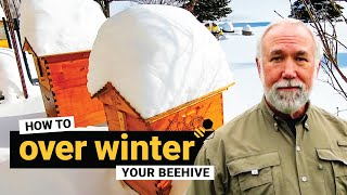 TheBeekeeperorg  How to overwinter your beehive [upl. by Ahtnicaj692]