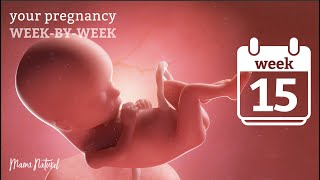 15 Weeks Pregnant  Natural Pregnancy WeekByWeek [upl. by Dareg]