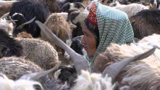 Shimshal Valley [upl. by Ailekahs]