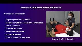 PNF Proprioceptive Neuromuscular Facilitation for the Upper Extremity [upl. by Gnihc128]