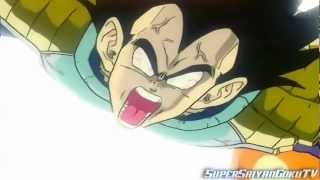 Vegetas Wrath Ocean Dub Dragon Box【True 1080p HÐ】 [upl. by Gerdy261]