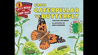 From Caterpillar to BUTTERFLY [upl. by Durham204]