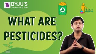 Pesticides  Uses Disadvantages and Advantages [upl. by Odey]