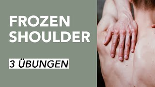 Übungen für Schulterschmerzen bei Frozen Shoulder  Liebscher amp Bracht [upl. by Pickford]