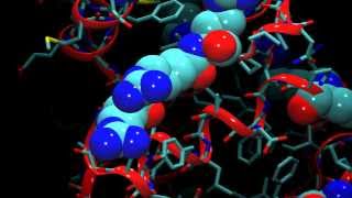 An Introduction to Molecular Dynamics [upl. by Rennold596]